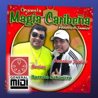 midi del tema MI BURRITO SABANERO con NEGUITO BORJAS MAGIA CARIBEÑA (linea melodica)