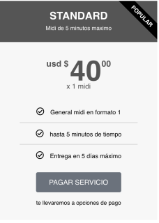 Standard - Fabrica de 1 midi de 5 minutos de tiempo máximo (servicio)