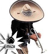 midi del tema PESCADOR DE HOMBRES del mariachi Flor y Canto del album Canciones Catolicas Realizamos este precioso tema en formato midi, escucha el demo y si te gusta podras comprarlo y descargarlo al pagar.
